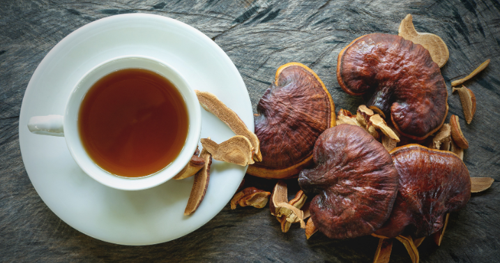 DEN HEGENDE SOPPEN: Reishi Elixir for Dyp Hvile